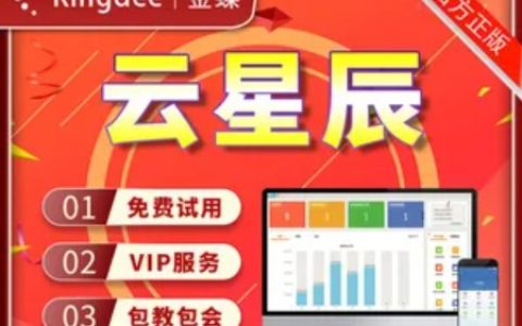 金蝶云 · 星辰标准版