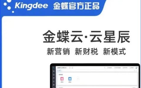 新疆 阿拉尔金蝶财务软件 多便宜呢， 新疆阿拉尔商贸企业做账用哪个财务软件 – Copy
