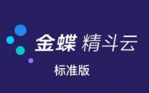 金蝶精斗云13