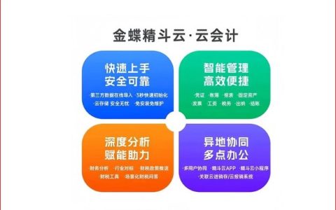 金蝶精斗云5