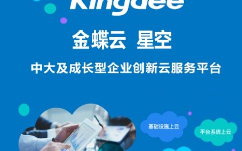 金蝶云星空