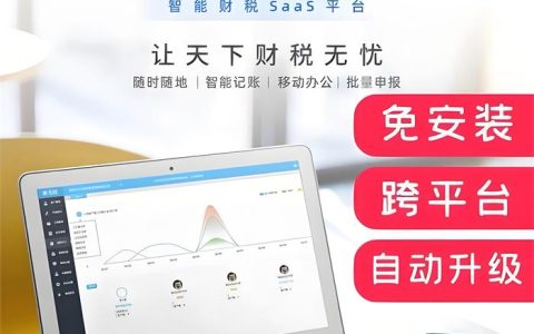 陕西 平利金蝶账无忧 费用怎么样， 安康平利代理记账专用软件免费注册安装