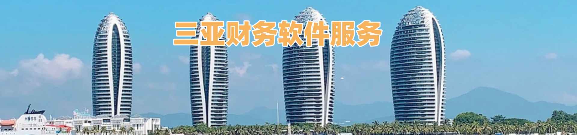三亚财务软件