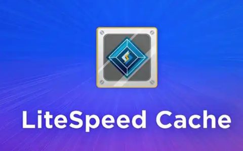 LiteSpeed Cache插件英文界面中文操作指南 - 加速WordPress网站速度