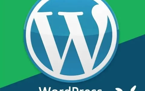 WordPress 建站能承载多少文章、数据与访问量？服务器配置要求全解析